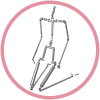 EVO Skeleton